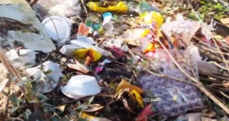 LIXO ACUMULADO Moradores denunciam lixo na Mata do Cemitério em Goioerê