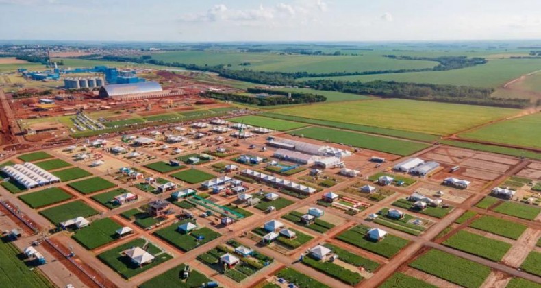 C.Vale: Dia de Campo de Verão começa hoje dia 23/01