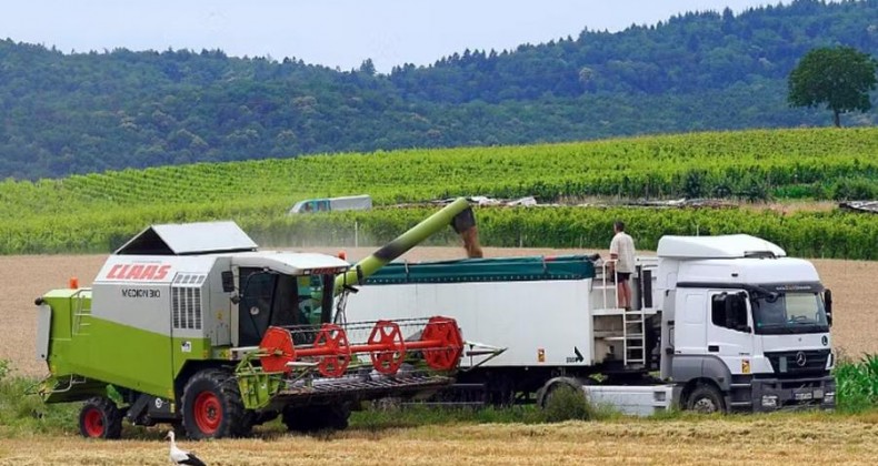 Agro além da lavoura: conheça os setores do negócio que movimenta o país