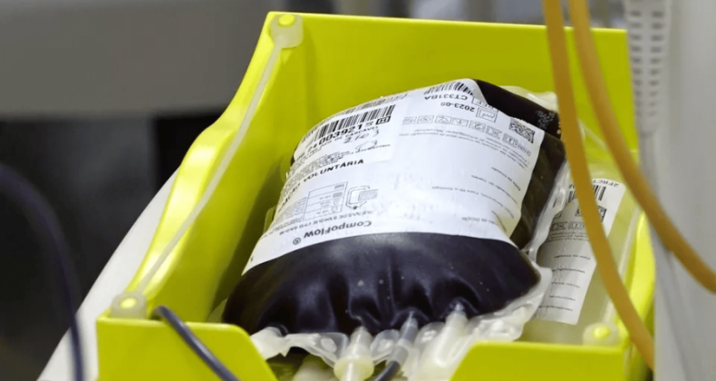 Dengue provoca baixa nos bancos de sangue do Hemocentro em Cascavel