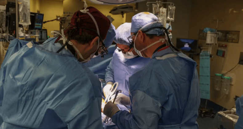 Primeiro paciente a receber rim de porco em transplante deixa hospital: 'grande emoção', d