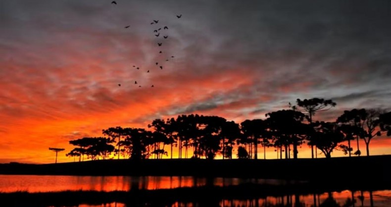 Alerta indica onda de calor com riscos à saúde em 172 cidades do Paraná