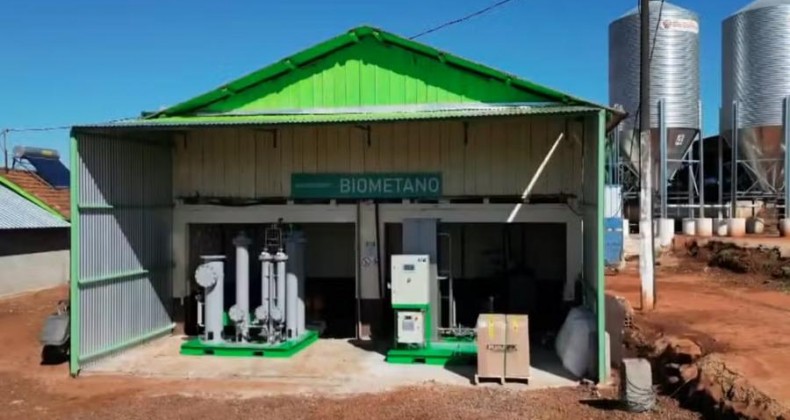 Biogás de dejetos de animais gera energia elétrica em propriedade rural do Paraná