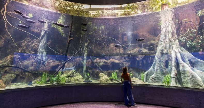 Aquário a 700 km do mar usa sal importado de Israel .