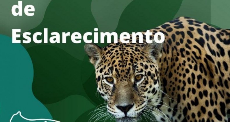 Projeto Onças do Iguaçu emite nota após onças invadirem Parque das Aves