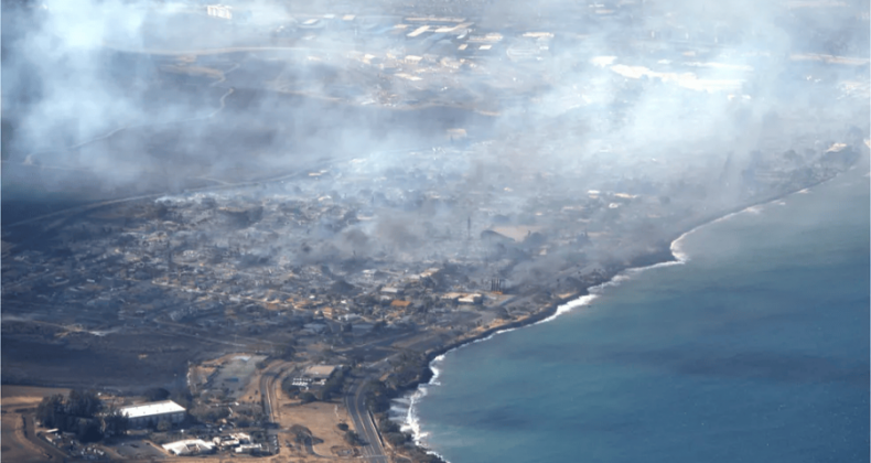 Incêndios florestais no Havaí matam 36 pessoas; moradores entram no mar para se proteger