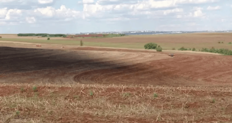 Colheita de soja entra na reta final no Paraná com resultados abaixo do esperado